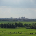 sintjanonthoofdingkerk survey2012 72