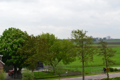 DSC 6943