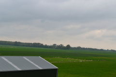 DSC 6949