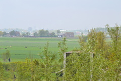 DSC 6967