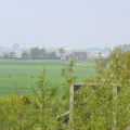 DSC 6967
