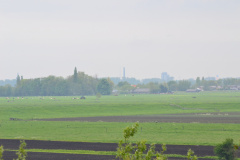 DSC 6970