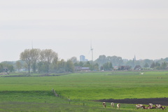 DSC 6973