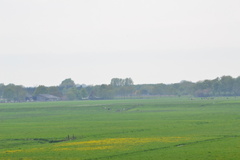 DSC 6976