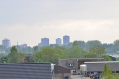DSC 6980