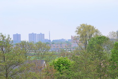 DSC 6982