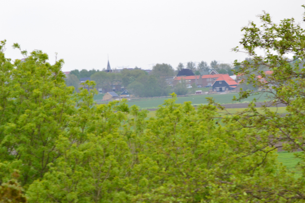 DSC 6986