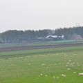 DSC 6988