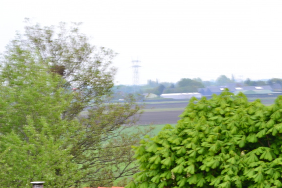 DSC 6990