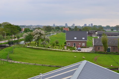 DSC 7001