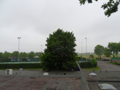 SDC16246