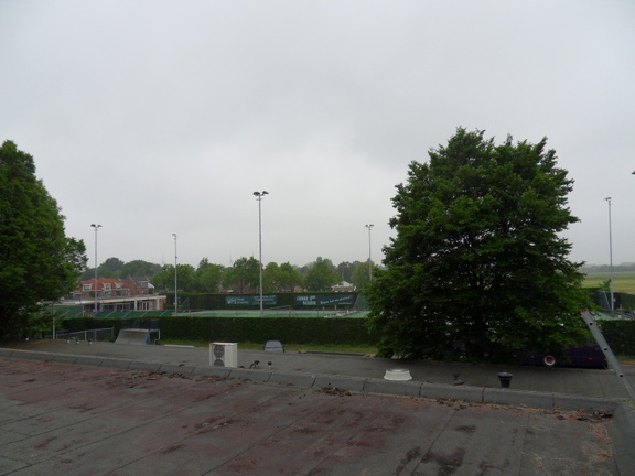 SDC16247