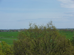 SDC16161