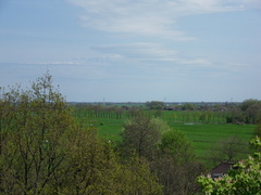 SDC16162