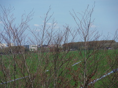 SDC16167