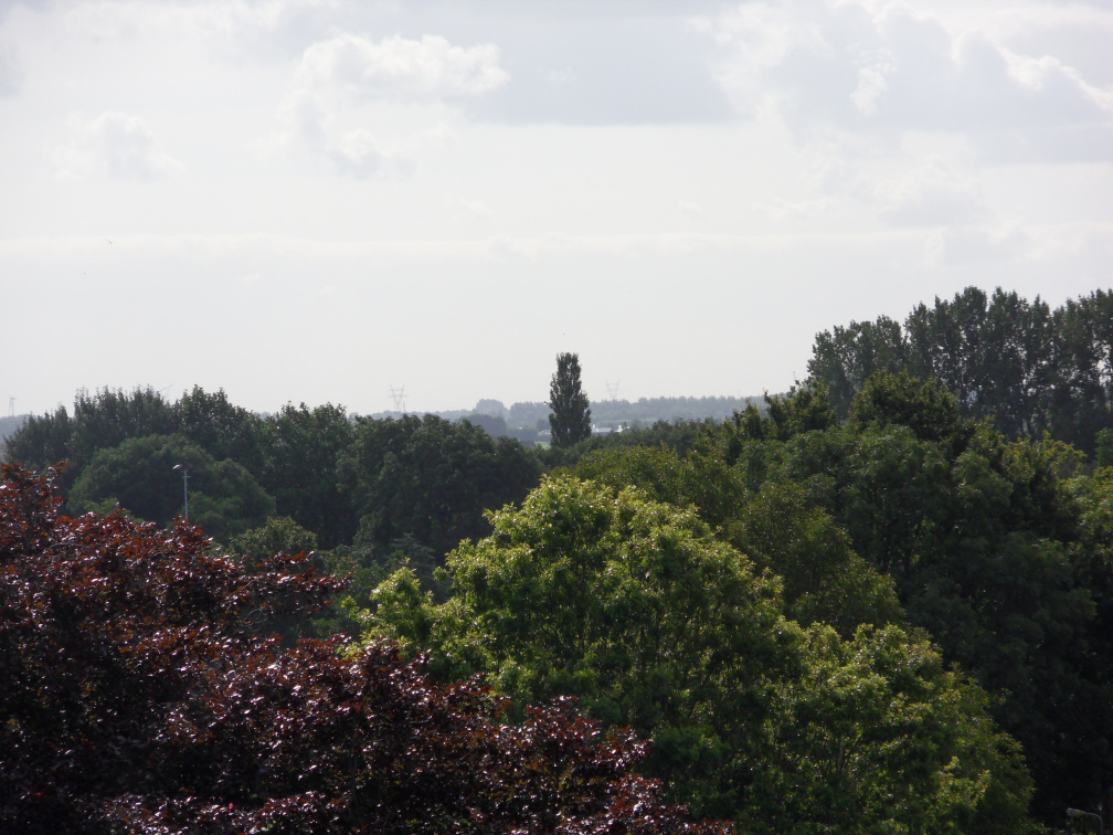 ztw-dorpskerk-sitesurvey-2012-008