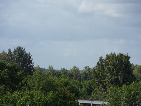 ztw-dorpskerk-sitesurvey-2012-011