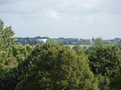 ztw-dorpskerk-sitesurvey-2012-019