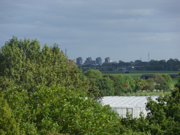 ztw-dorpskerk-sitesurvey-2012-022