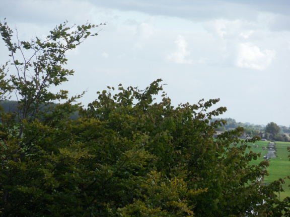 ztw-dorpskerk-sitesurvey-2012-031