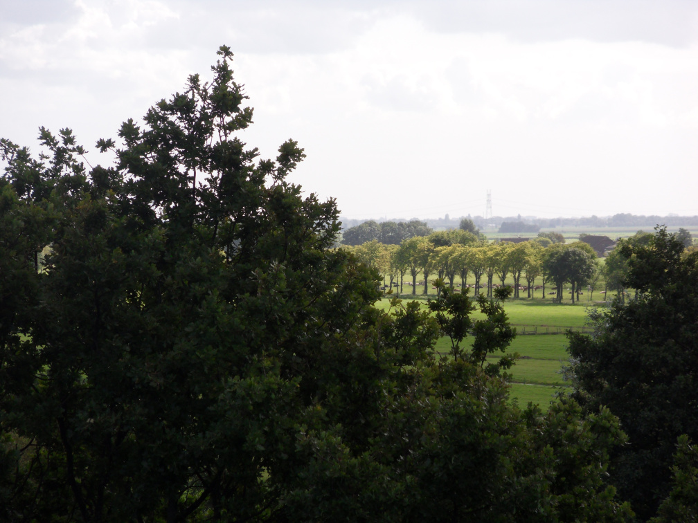 ztw-dorpskerk-sitesurvey-2012-039