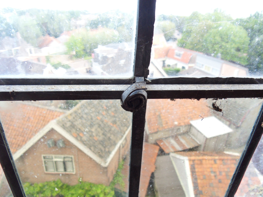 ztw-dorpskerk-sitesurvey-2012-044