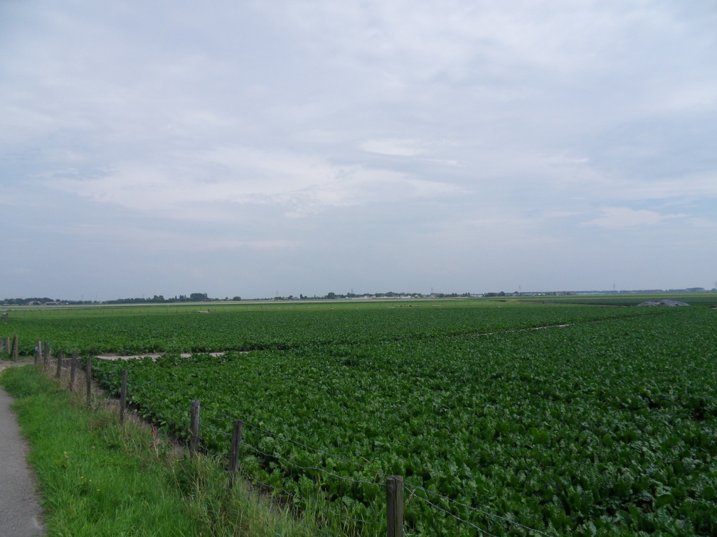 SDC10708