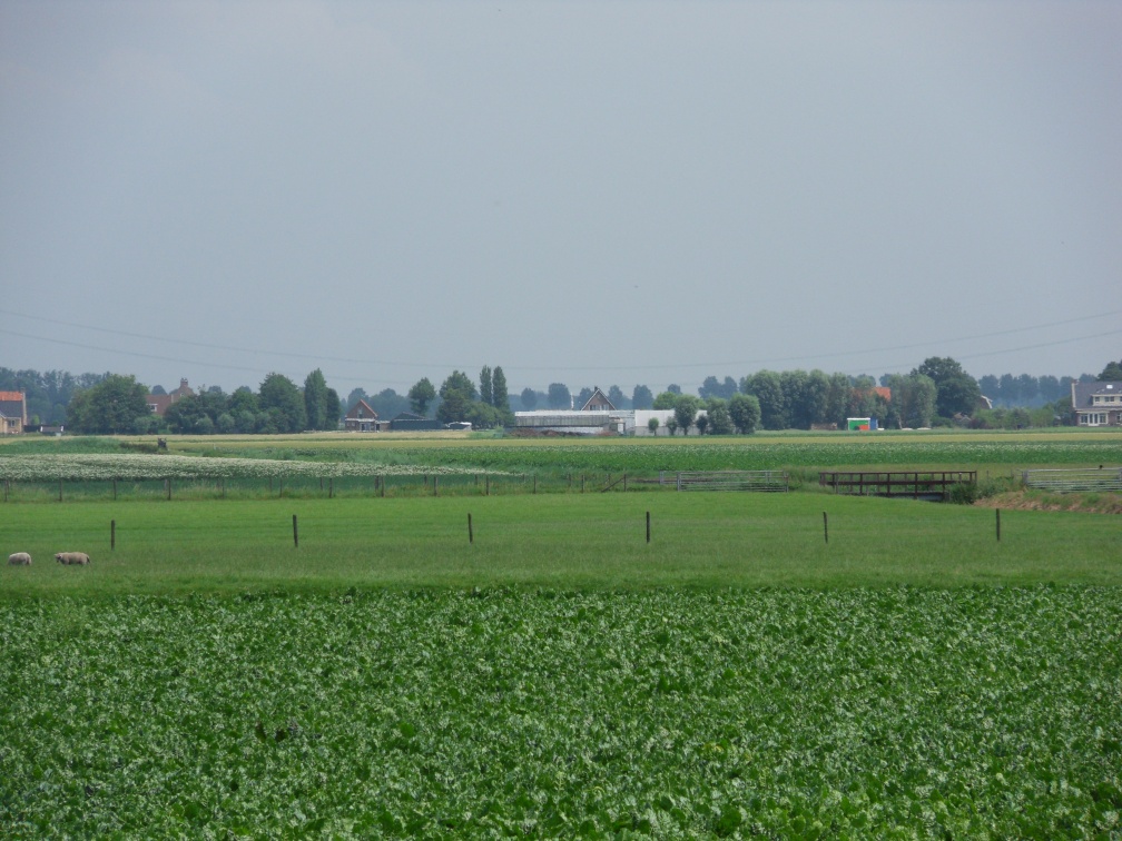 SDC10717