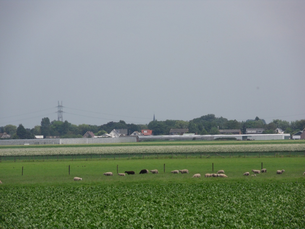 SDC10718