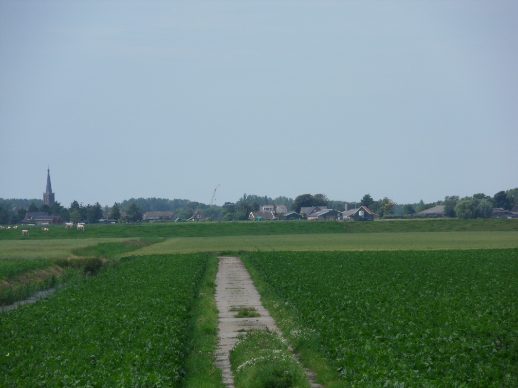 SDC10723