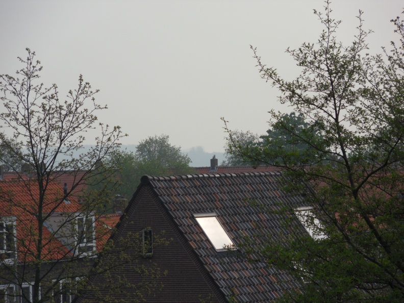 SDC11894