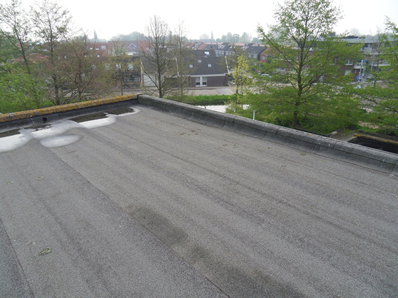 SDC11895.JPG