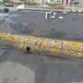 SDC11896