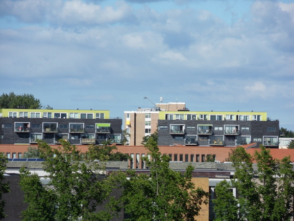SDC10431