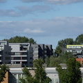 SDC10433