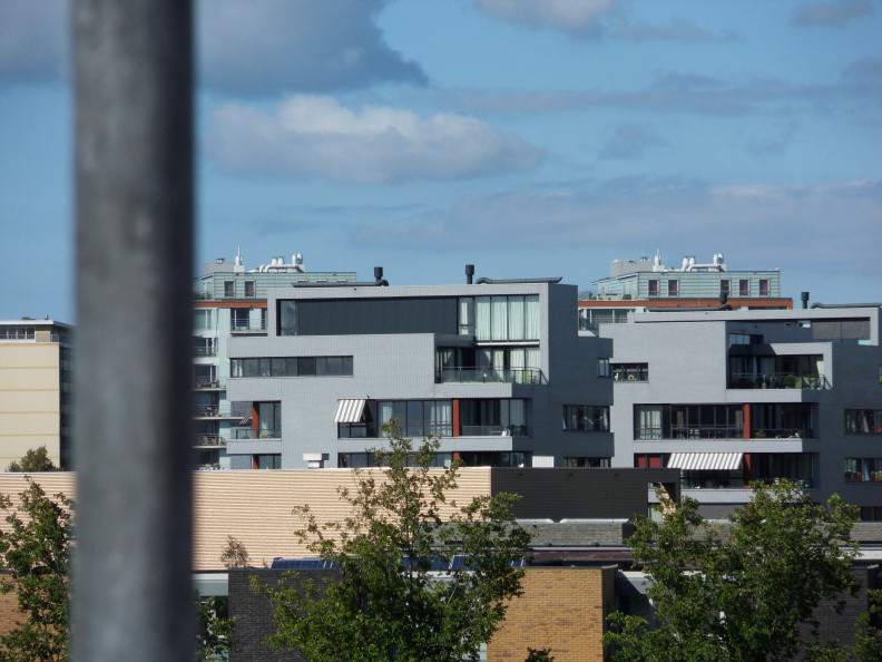 SDC10434.JPG