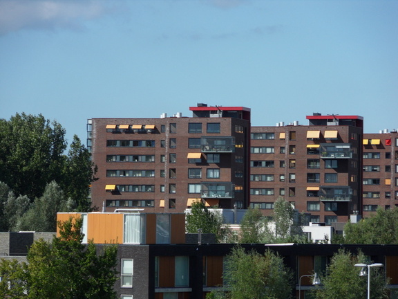 SDC10436