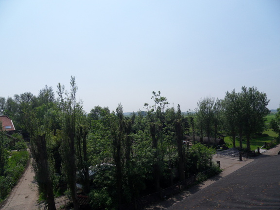 SDC16217