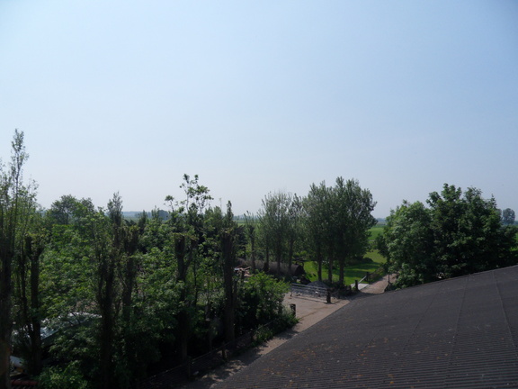 SDC16218