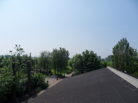 SDC16219