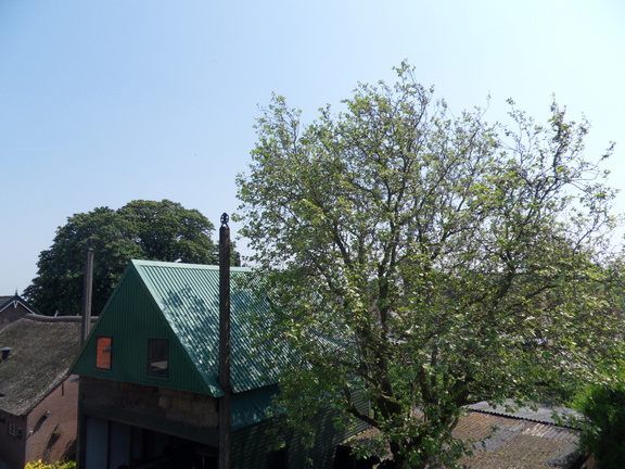 SDC16229