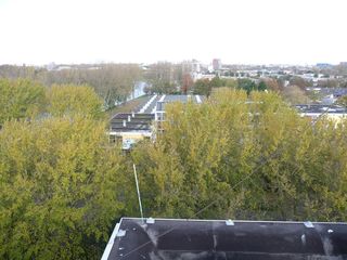 P1040912