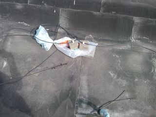 IMG 20140624 104237
