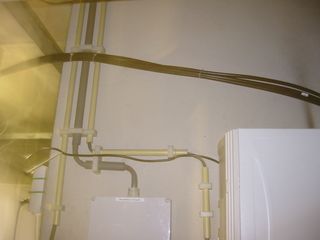 img 1286