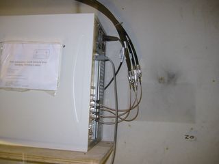 img 1291