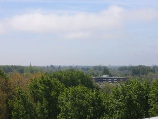 img 1398