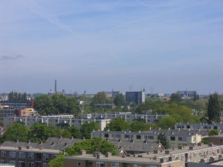 img 1401