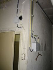 img 0487