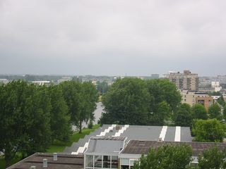 img 0494
