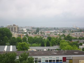 img 0495